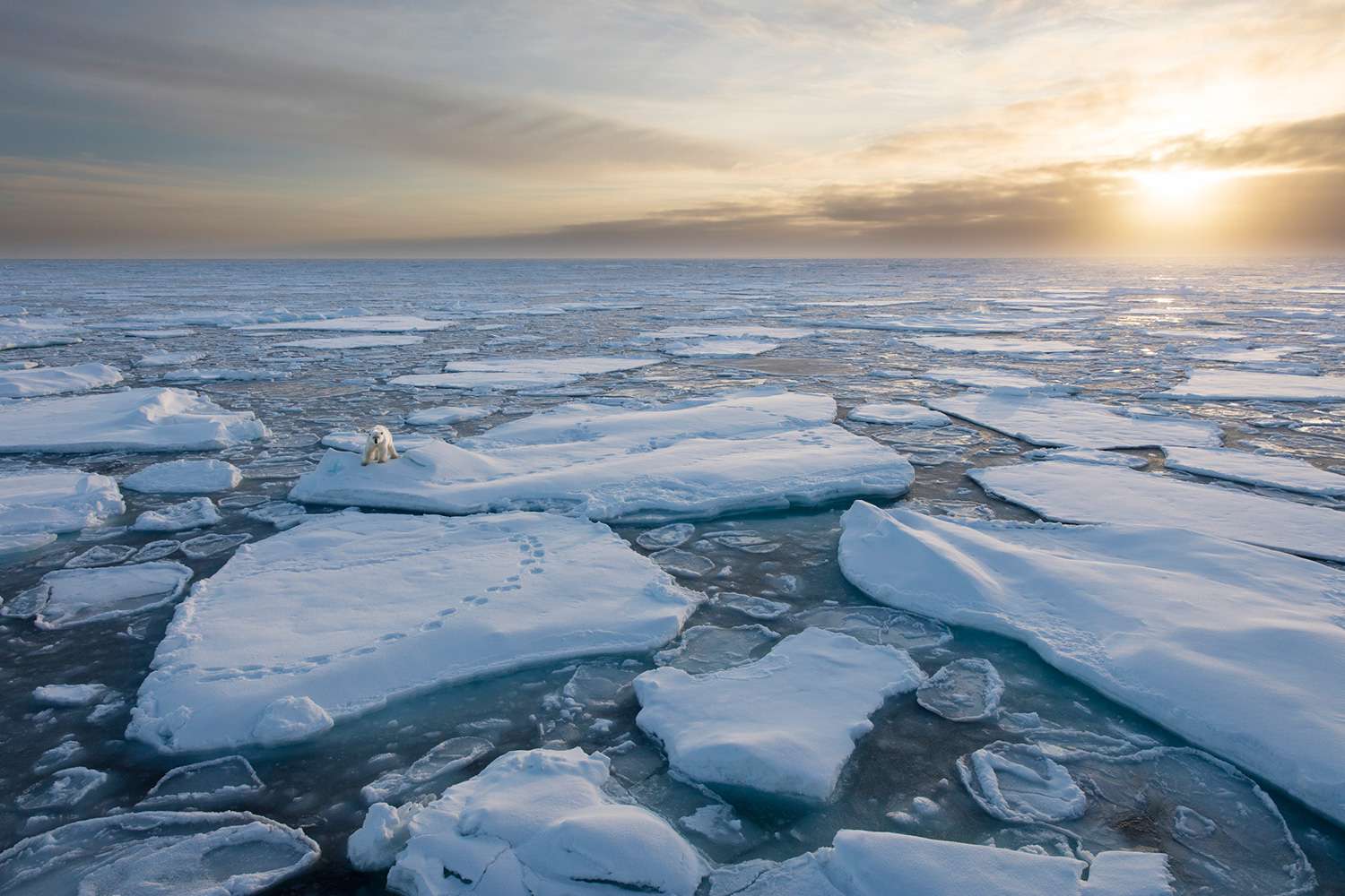 Ледовитый океан температура воздуха. Арктика Северный Ледовитый океан. Северный Ледовитый океан Восточно-Сибирское море. Арктика Северо Ледовитого океана. Карское море ледяной Покров.