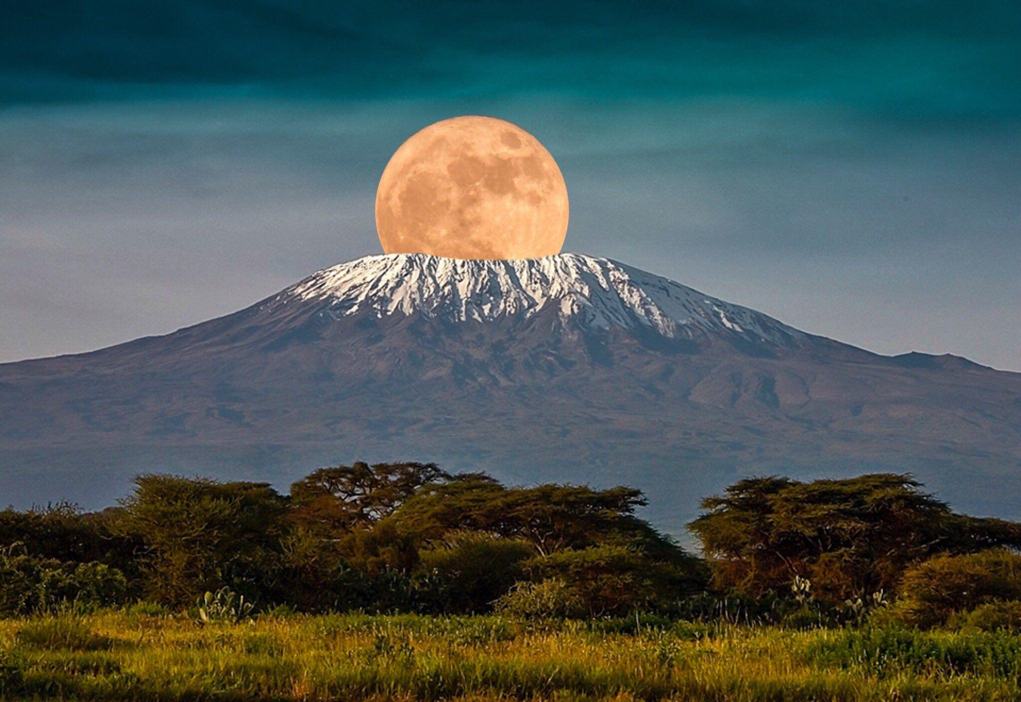 Фото Килиманджаро