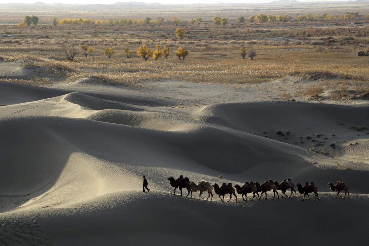 Фото пустыни в Китае